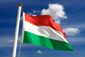 Венгрия предложила новгородцам совместные проекты в сельском хозяйстве