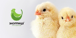 «Экоптица» реконструировала свою липецкую птицефабрику за 700 млн рублей