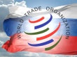 Россия в ВТО: Импорт вытесняет продукцию национальных производителей