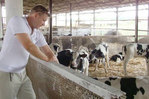 Красноярское хозяйство «Победа» решило восстановить животноводческую ферму