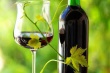Россия в одностороннем порядке введет пошлины на молдавские вина и сельхозпродукцию