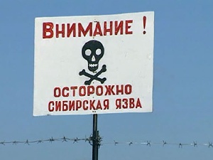 В Узбекистане 31 человек заразился сибирской язвой В Узбекистане 31 человек заразился сибирской язвой