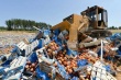 Минсельхоз предлагает уничтожать санкционные продукты и внутри страны