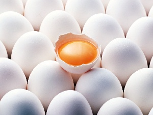 Ставрополье сократит производство яиц на 10% из-за банкротства крупнейшей птицефабрики