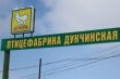 Первая партия местных цыплят в Магаданской области предположительно появится к Новому году