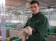 Перспективный сектор: «Мираторг» нацелен на молодых специалистов