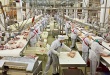 АПХ «Мираторг» увеличил число рабочих мест на мясоперерабатывающем комплексе «Короча» на 9%