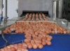Тюменская область купит птицефабрику «Боровская»