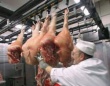 Мордовия прогнозирует рост производства мяса почти на 30% в 2013 году