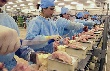 На Алтае открыто предприятие по переработке мяса