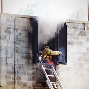 В белгородском селе на ферме «Мираторга» заживо сгорели 900 поросят