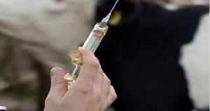 Российские и японские ученые займутся совместной разработкой ветеринарных вакцин