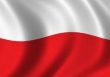 Первый случай АЧС зафиксирован в Польше