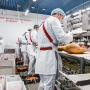 «Сибагро» приостановил работы по реконструкции «Кудряшовского»