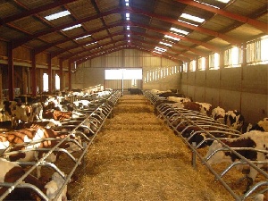 Саратовская область полностью оздоровлена от туберкулеза животных: глава ветслужбы