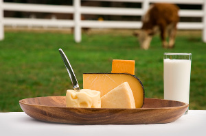 Приморский край ведет переговоры о поставках мясной и молочной продукции из Беларуси