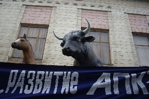 Министр сельского хозяйства Ставрополья вручил награды лучшим животноводам в Москве