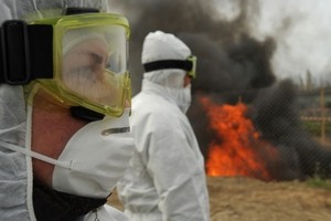 В Самарской области сожгли 641 свинью, чтобы избежать эпидемии АЧС