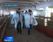 Научные достижения – в сельское хозяйство
