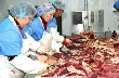 Казахстан: Недостаток организации мясной отрасли оборачивается недополученными миллиардами