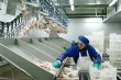 Готовится технический регламент ТС «О безопасности мяса птицы и продукции ее переработки»