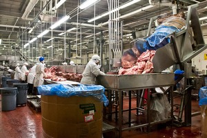 В Волгоградской области построят новый завод по переработке мяса и молока