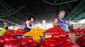 Ростовская область: санкции вынуждают пересмотреть программу поддержки аграриев