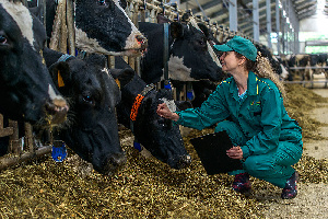 В 2019 году на поддержку кубанского животноводства будет выделено 1,1 млрд рублей