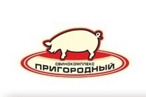 На свинокомплексе "Пригородном" в Мурманской области забили все поголовье животных