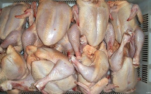 В «Правильном цыпленке» обнаружена неправильная сальмонелла