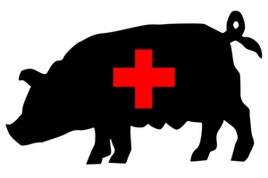 Вирус эпидемической диареи свиней расползается по миру в пакетах