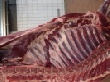 Российский рынок говядины в январе-августе 2011 года