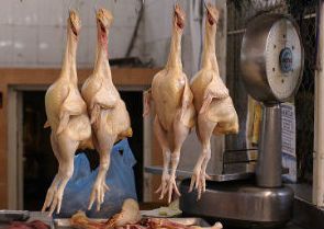 Казахстан покрывает свои потребности в мясе птицы на 50%