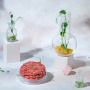 Парижская компания создала реалистичное, неотличимое от настоящего молотое мясо из микроводорослей