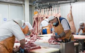 Иркутские мясоперерабатывающие хозяйства объединятся в кооператив 