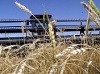 На Кубани развивается сельскохозяйственное кооперативное движение