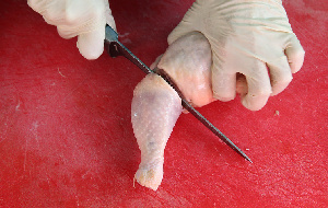 Роспотребнадзор проверит производителей мяса в Хакасии после отравления 160 человек в Туве  