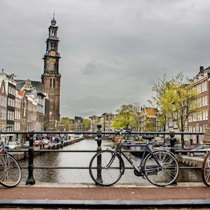 Амстердам первым в мире запретил наружную рекламу мяса