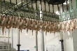 Украина: Производство мяса птицы в октябре сократился до 58,2 тыс. тонн