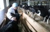 Ленобласть в 2012 году выделит 350 миллионов на субсидии сельскому хозяйству