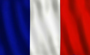 Франция отложила принятие решения о запрете на импорт свиней из США, Канады, Мексики и Японии