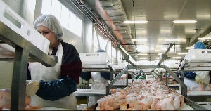 Ставропольский край: мясо птицы становится одной из основных статей экспорта