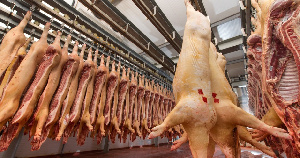 Rabobank: пандемия COVID-19 отодвинула на второй план проблему АЧС