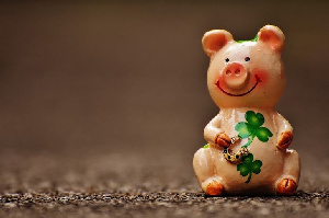 Повышение эффективности предприятий птицеводства и свиноводства обсудят в Челябинске