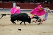 Финита ла коррида. В Испании впервые за 35 лет остановили бой быков