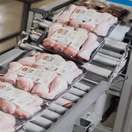 На Чамзинской птицефабрике в этом году планируют произвести 130 тыс. тонн мяса птицы