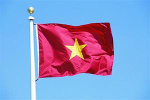 Вьетнам: экспортеры из США демпингуют, отгружая курятину на рынок страны
