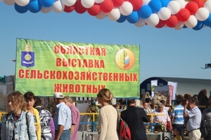 На Астраханской выставке были определены лучшие организации по племенному животноводству 