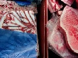 Россельхознадзор может взяться за украинские мясо и рыбу