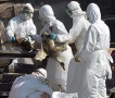 В Германии издано экстренное распоряжение о предотвращении распространения птичьего гриппа